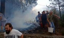 Mahalleli birlik oldu, orman yangınına kovalarla müdahale etti