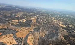 Sondakika: Çanakkale’deki orman yangını söndürüldü