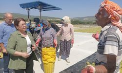 Üzüm üreticileri isyan etti: “Düzeltemiyorsanız istifa edin gidin!”