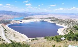 Bakırçay Ovası'nı kuraklık vurdu