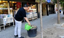 Bornova sakura ve tarçın kokacak