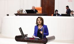 CHP’li Kış: Özel Okul Öğretmenleri Kölelik Düzenine Mahkûm