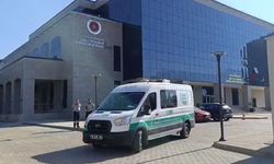 Ellerini ve yüzünü balıklar yemiş...