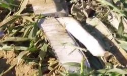 Helikopter düştü... 1 pilot hayatını kaybetti
