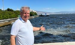 İzmir Körfezi’nde balık ölümleri yeniden gündemde