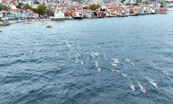 Mudanya, 2025 Avrupa Triatlon Balkan Şampiyonası’na hazır