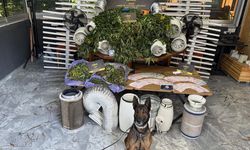 Zehir tacirlerine darbe: 11 operasyon, 11 tutuklama