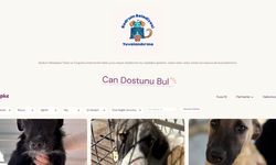 Bodrum Belediyesi yuvalandırma platformu hayata geçti