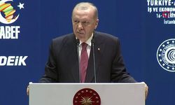 Erdoğan: 'Kalıcı barış için yoğun çaba içindeyiz'