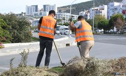 Kuşadası Belediyesi'nden peyzaj düzenlemelerine su tasarrufu