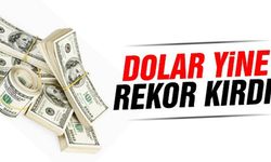 Piyasalarda Dolar baskısı: İki ayın zirvesi