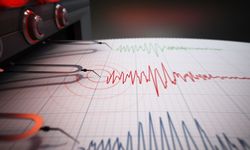 Sındırgı merkezli deprem İzmir'de de hissedildi!