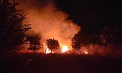 174 hektarı kül eden yangında ihmal zinciri