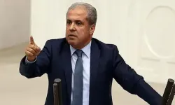 AKP'li Tayyar'dan partisine 'mıntıka temizliği' teklifi