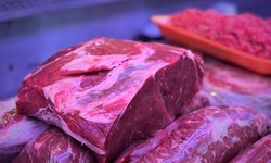 Alman medyası: 'Türkler ayda bir kez et yiyebiliyor..! '