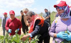Efeler Belediyesi'nden örnek proje