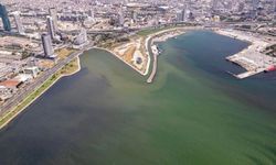 İzmir Körfezi'nden bir yılda 852 ton çöp çıkarıldı