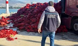 İzmir'de 27 ton kaçak midye ele geçirildi