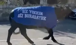 Mandalarla protesto: 'Siz yokken biz vardık'