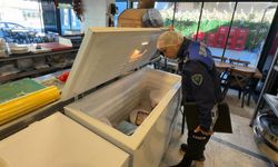 Marmaris'te halk sağlığı ve gıda güvenliği için denetimleri