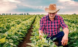 Tarım ürünleri üretici fiyatları Ekim'de yıllık %45,40 arttı