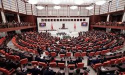 TBMM'de Otizm Eğitimi masaya yatırıldı