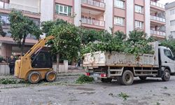 Efeler'in ekipleri daha yeşil bir kent için çalışıyor