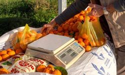 Güzelbahçe'den yerel üreticiye destek