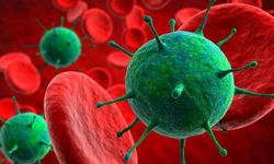 H3N2 grip virüsü Türkiye'ye geliyor