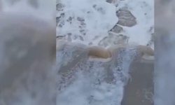 İZDENİZ'den körfez açıklaması