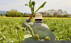 İzmir'in sürdürülebilir turizm hikâyesi 'Halkın Seçimi' nde