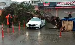 İzmir'de sağanak ve fırtına hayatı felç etti