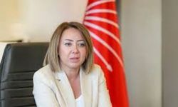 CHP'li Çiftci'den Açıklama: 'Yargı Eliyle Rejim Kuruluyor'