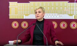 DEM Partili Koca'dan Erdoğan'a: Faşist gidişat söylemi