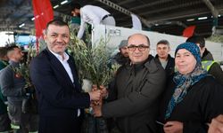 Denizli'de tarıma büyük destek: 84 bin fidan