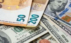 Dolar ve Euro haftaya yükselişle başladı