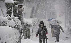 Japonya'daki kar fırtınasında ölü sayısı 46'ya yükseldi