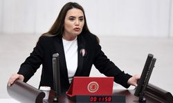 Türkeş'ten Bahçeli'ye 'Öcalan' tepkisi: Statüsü bellidir