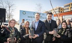 Akın'dan üreticilere yüzde 100 hibeli incir fidanı desteği