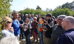 Bodrum'da ağaç budama eğitimi düzenlendi