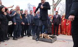 Denizli'de Nevruz coşkusu: Bahara görkemli 'Merhaba'