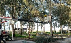 Efeler'de güvenli yeşil alan seferberliği :Tepecik Mesire Alanı yenileniyor