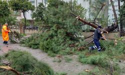 Efeler'de sağanak yağışın izleri Başkan Anıl Yetişkin'in koordinasyonuyla siliniyor