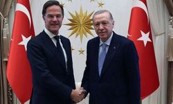 Erdoğan, NATO Genel Sekreteri Rutte ile görüştü