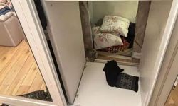 FETÖ firarisi Şadan Sakınan yakalandı