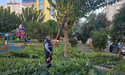 Başkan Anıl Yetişkin'den seferberlik