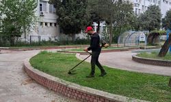 Başkan Yetişkin'le Efeler'de bahar temizliği seferberliğe dönüştü