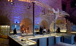 Deniz Ticaret Tarihi Sevgi Alanı'na yılın ilk çeyreğinde yoğun ilgi