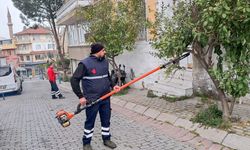 Efeler'in tarihi mirası Başkan Yetişkin ile korunuyor