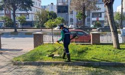 Efeler'in yeşil alanlarında bakım çalışmaları devam ediyor